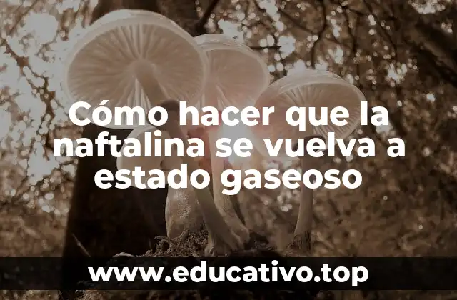 Cómo hacer que la naftalina se vuelva a estado gaseoso