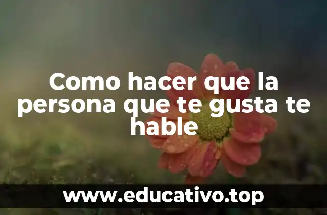 Como hacer que la persona que te gusta te hable