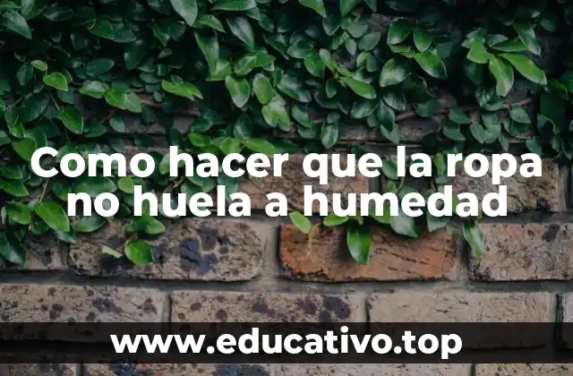 Como hacer que la ropa no huela a humedad