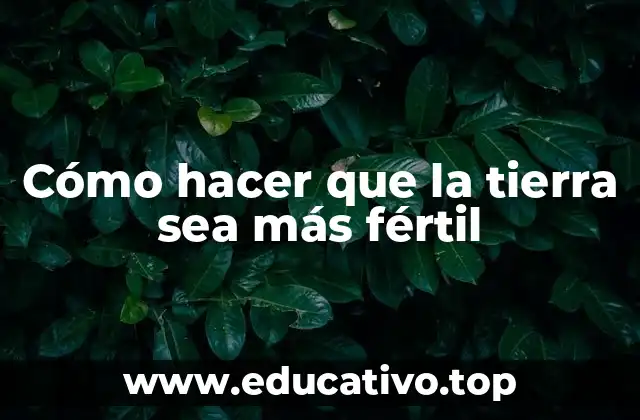 Cómo hacer que la tierra sea más fértil