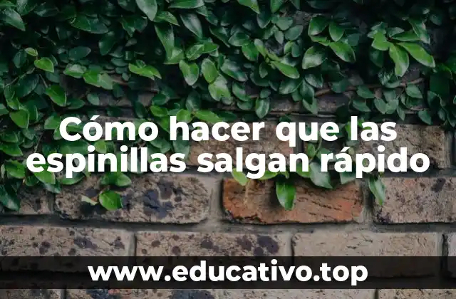 Cómo hacer que las espinillas salgan rápido