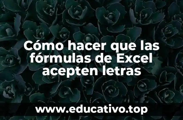 Cómo hacer que las fórmulas de Excel acepten letras