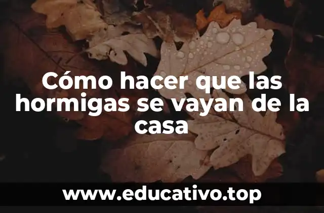 Cómo hacer que las hormigas se vayan de la casa