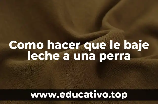 Como hacer que le baje leche a una perra