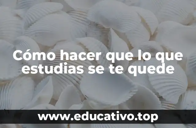 Cómo hacer que lo que estudias se te quede