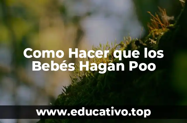 Como Hacer que los Bebés Hagan Poo