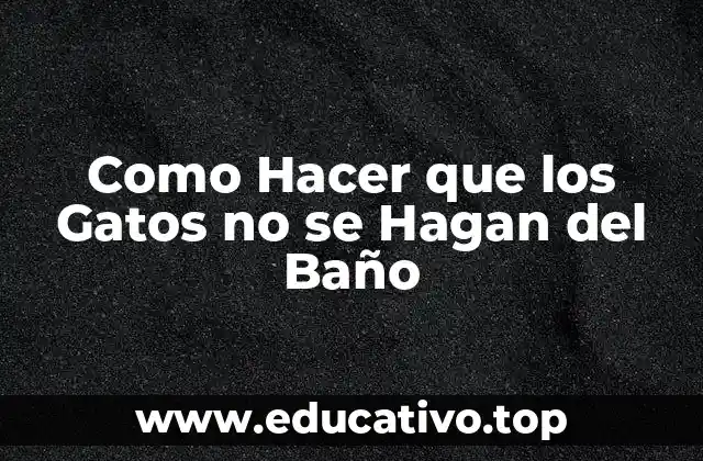 Como Hacer que los Gatos no se Hagan del Baño