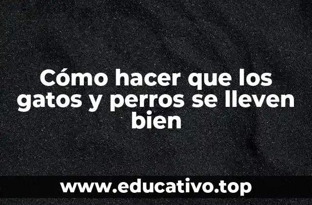 Cómo hacer que los gatos y perros se lleven bien