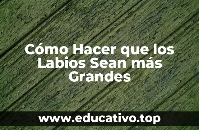Cómo Hacer que los Labios Sean más Grandes