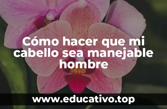 Cómo hacer que mi cabello sea manejable hombre