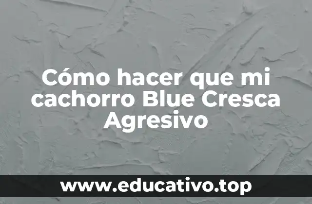Cómo hacer que mi cachorro Blue Cresca Agresivo