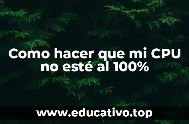 Como hacer que mi CPU no esté al 100%