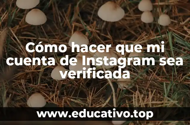 Cómo hacer que mi cuenta de Instagram sea verificada