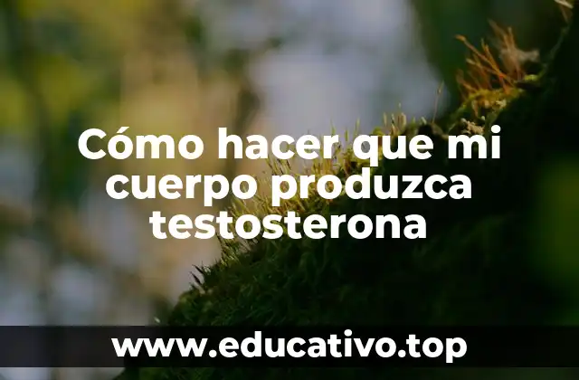 Cómo hacer que mi cuerpo produzca testosterona