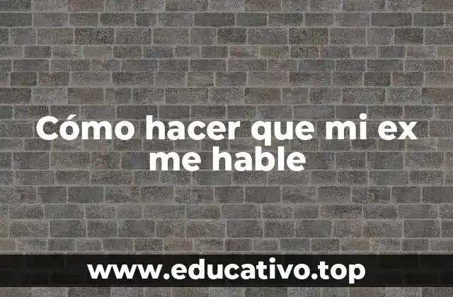 Cómo hacer que mi ex me hable