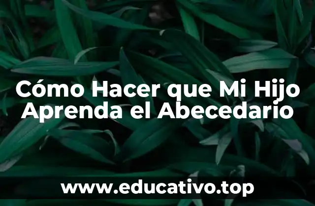 Cómo Hacer que Mi Hijo Aprenda el Abecedario