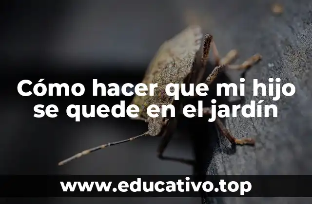 Cómo hacer que mi hijo se quede en el jardín