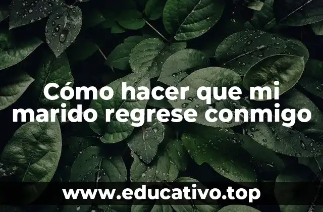 Cómo hacer que mi marido regrese conmigo