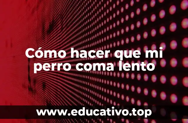 Cómo hacer que mi perro coma lento