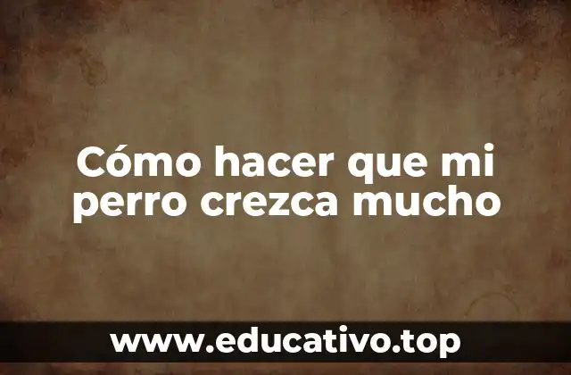 Cómo hacer que mi perro crezca mucho