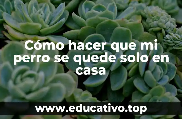 Entrenamiento de quedarse solo en casa: qué es y para qué sirve