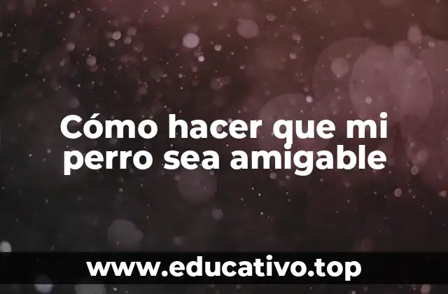 Cómo hacer que mi perro sea amigable