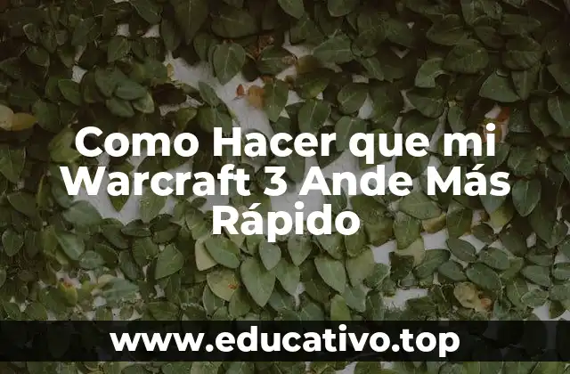 Como Hacer que mi Warcraft 3 Ande Más Rápido