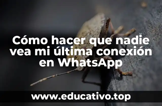 Cómo hacer que nadie vea mi última conexión en WhatsApp
