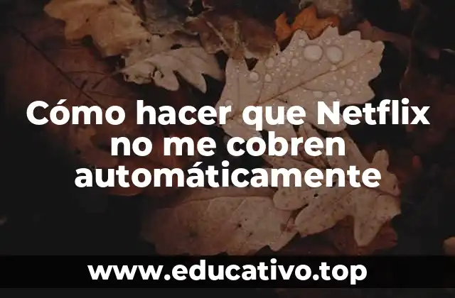 Cómo hacer que Netflix no me cobren automáticamente