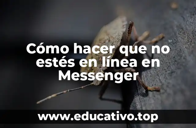 Cómo hacer que no estés en línea en Messenger