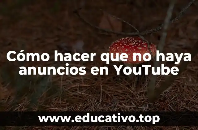 Cómo hacer que no haya anuncios en YouTube
