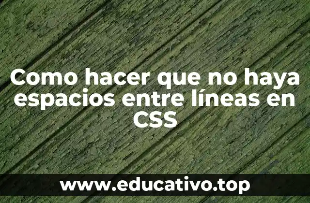 Como hacer que no haya espacios entre líneas en CSS