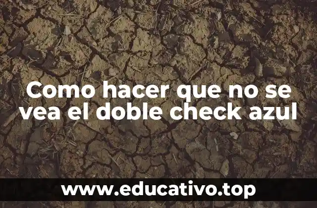 Como hacer que no se vea el doble check azul