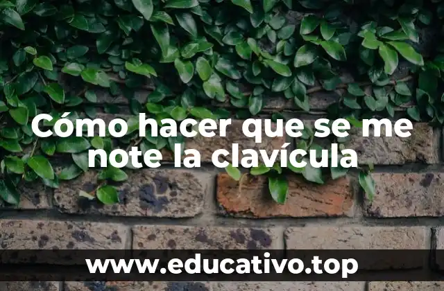 Cómo hacer que se me note la clavícula