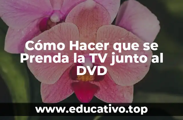 Cómo Hacer que se Prenda la TV junto al DVD