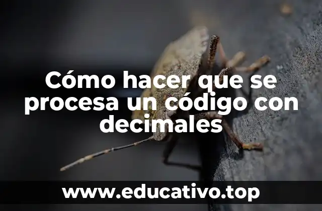 Cómo hacer que se procesa un código con decimales