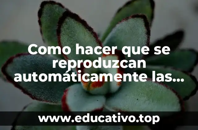 Como hacer que se reproduzcan automáticamente las diapositivas