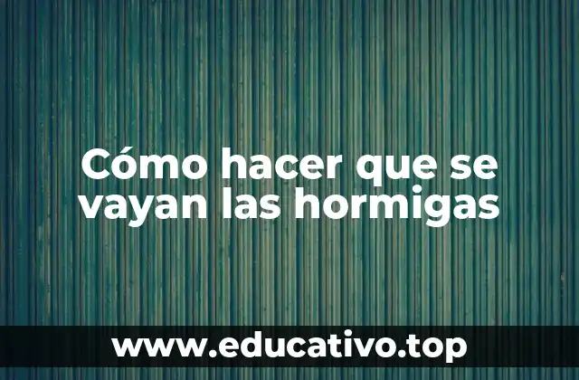 Cómo hacer que se vayan las hormigas