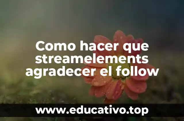 Como hacer que streamelements agradecer el follow