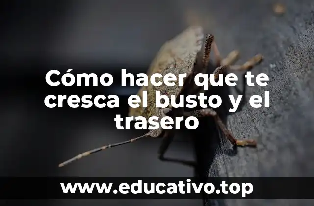 Cómo hacer que te cresca el busto y el trasero