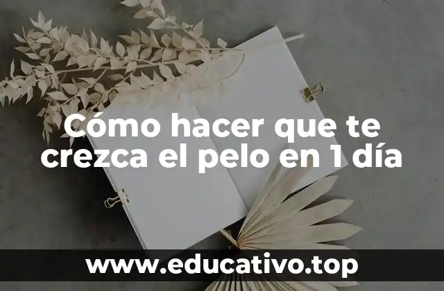 Cómo hacer que te crezca el pelo en 1 día
