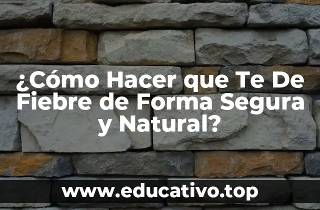 ¿Qué Es la Fiebre y CómoFunciona?