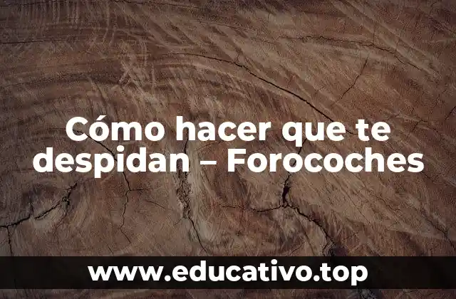 Cómo hacer que te despidan – Forocoches