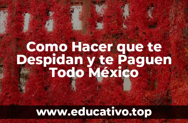 Como Hacer que te Despidan y te Paguen Todo México
