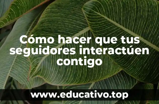 Cómo hacer que tus seguidores interactúen contigo