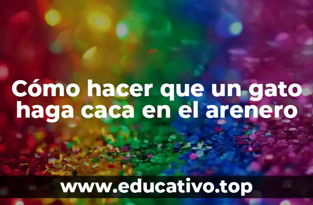 Cómo hacer que un gato haga caca en el arenero