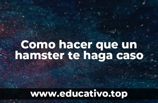 Como hacer que un hamster te haga caso