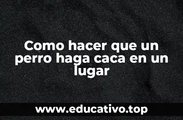 Como hacer que un perro haga caca en un lugar