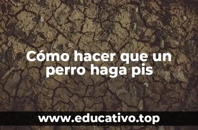 Cómo hacer que un perro haga pis