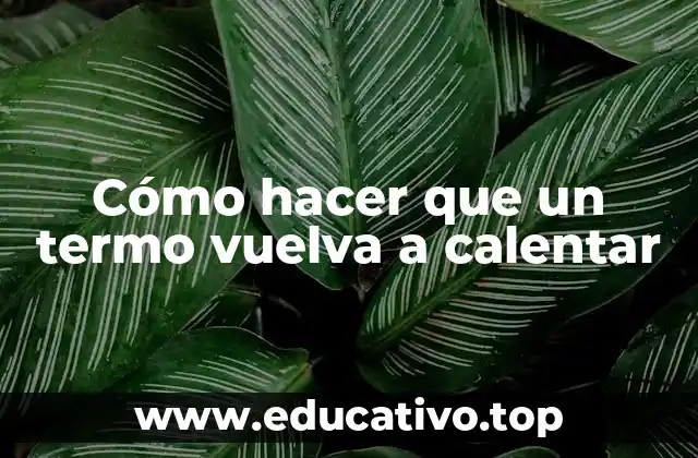 Cómo hacer que un termo vuelva a calentar